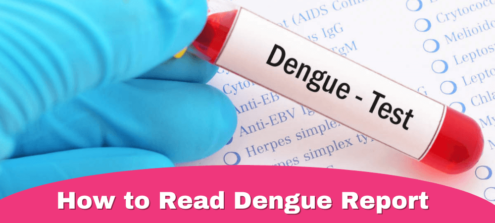 How to Read Dengue Report