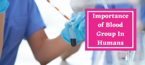 Importance of Blood Group In Humans