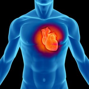 Heart Diseases Test