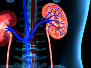 Kidney Test in Vadodara
