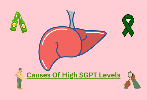 causes of high SGPT levels