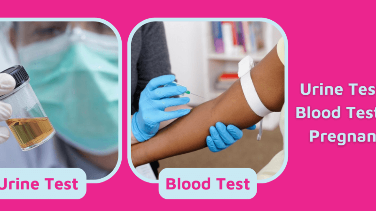 Urine test/blood test for pregnancy - Which is More Accurate
