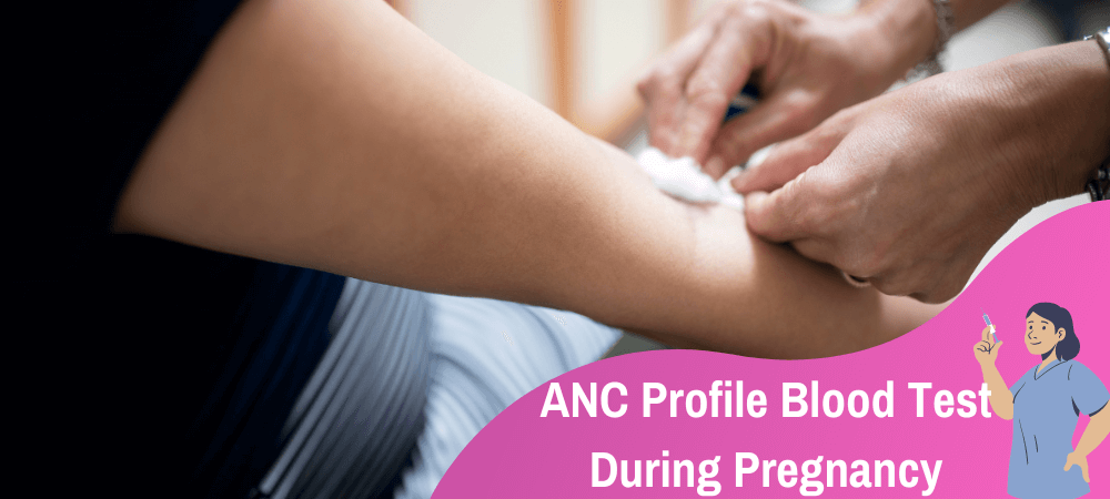 ANC Profile Blood Test During Pregnancy