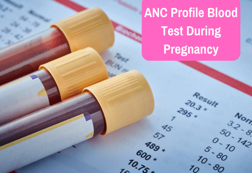 ANC Profile Blood Test