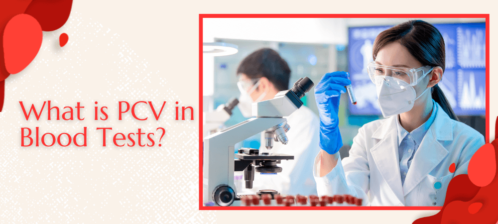 What is PCV in Blood Tests?