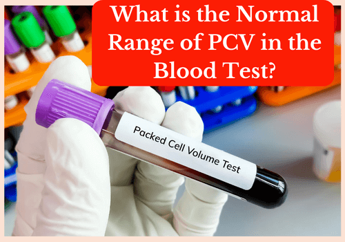 Normal Range of PCV in the Blood Test?