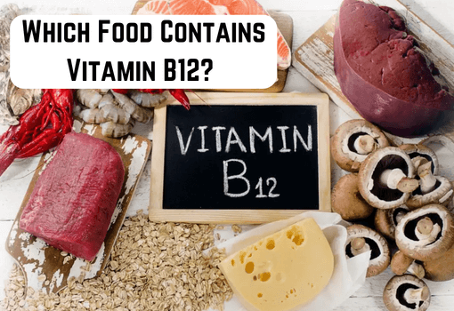 Which Food Contains Vitamin B12