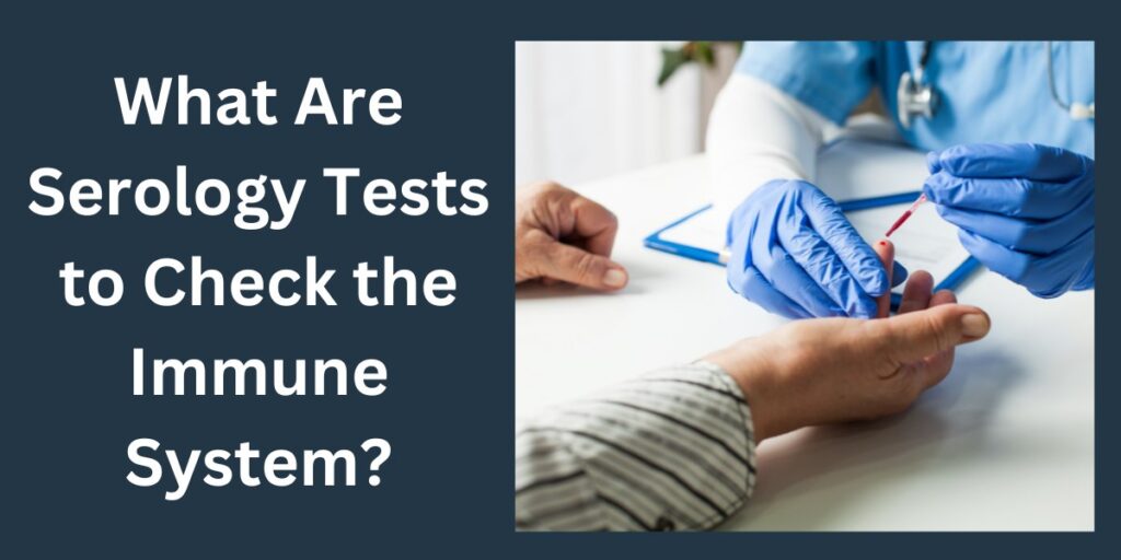 What Are Serology Tests to Check the Immune System
