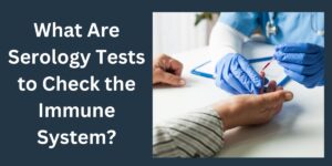 What Are Immunology Serology Test to Check the Immune System?