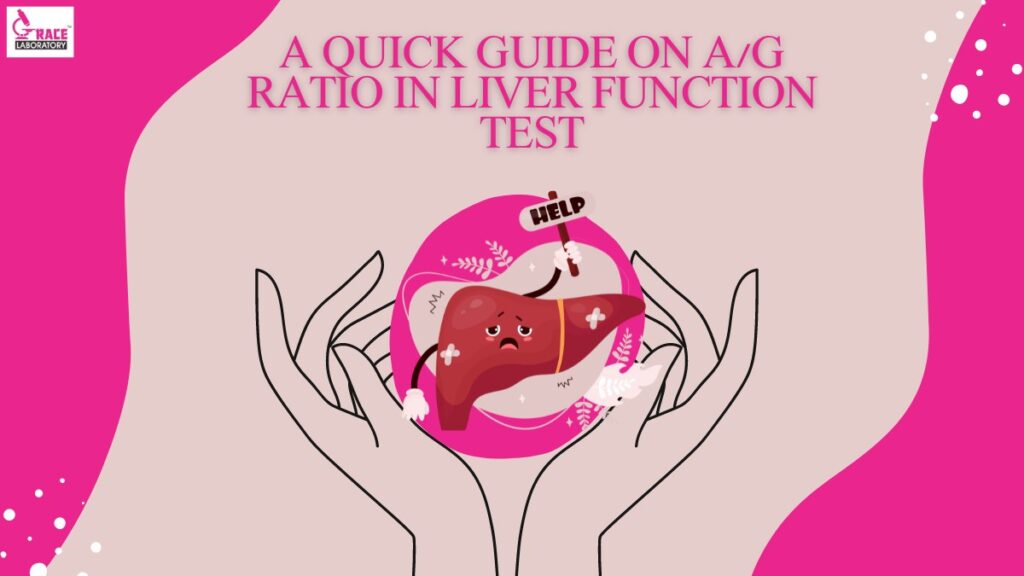 A Quick Guide on ag Ratio in Liver Function Test
