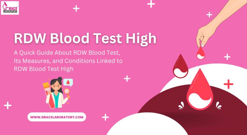 RDW blood test high